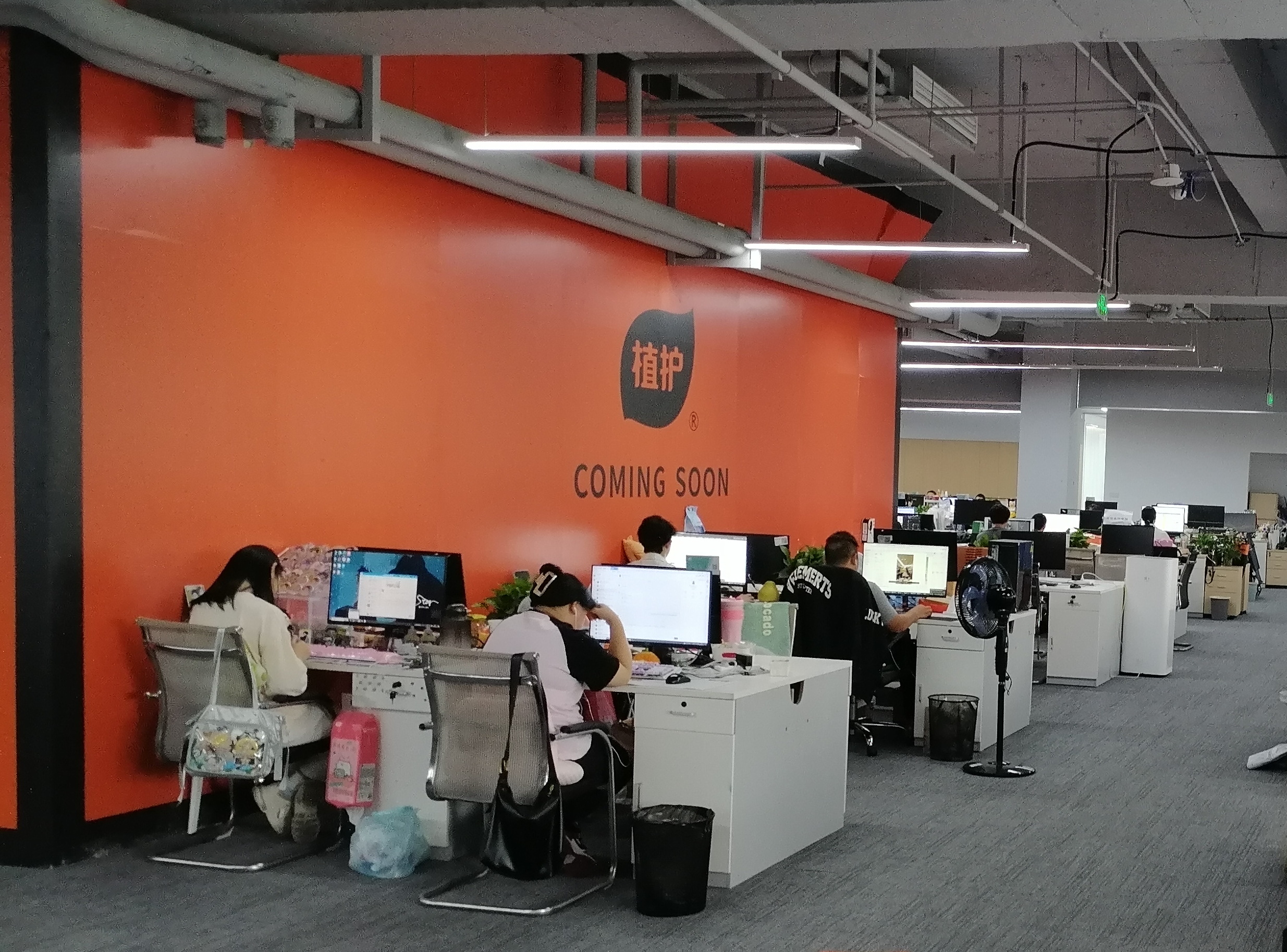 植護(hù)紙品公司員工辦公區(qū).jpg 植護(hù)紙品公司員工辦公區(qū).jpg